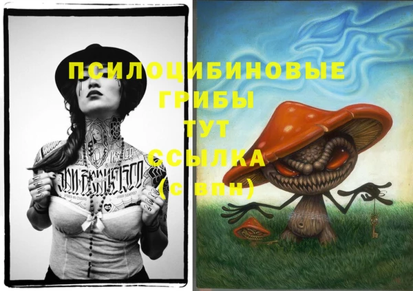 эйфоретик Касимов