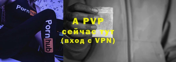 ГАЛЛЮЦИНОГЕННЫЕ ГРИБЫ Карпинск