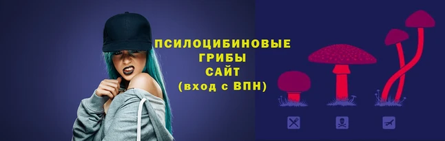 эйфоретик Касимов