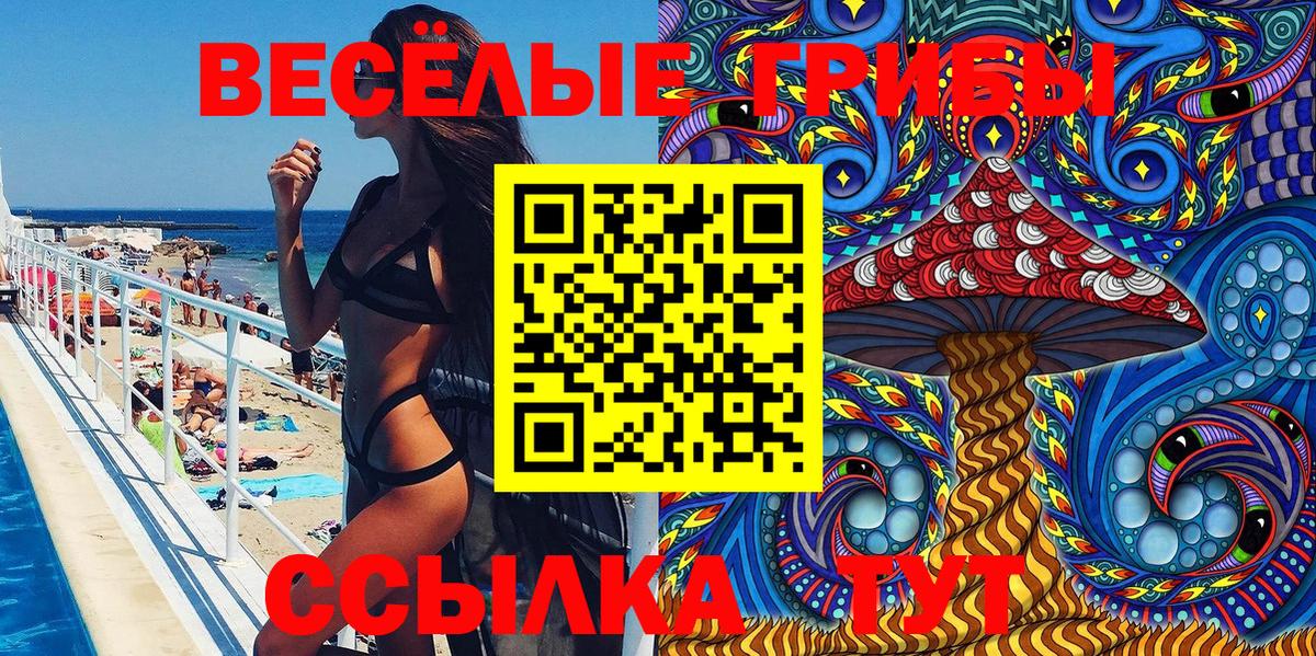 Галлюциногенные грибы Psilocybine cubensis Каспийск
