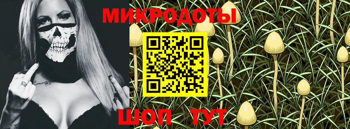 Каспийск  наркотики  Вход с VPN  Псилоцибиновые грибы MAGIC MUSHROOMS 